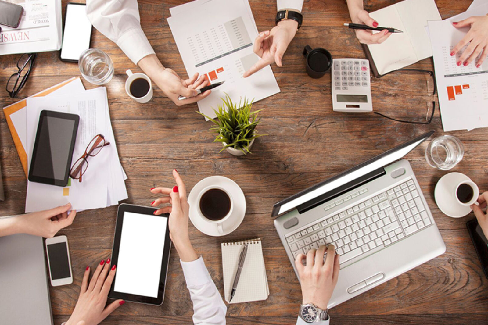 A Beginners Guide to SEO for Small Businesses img